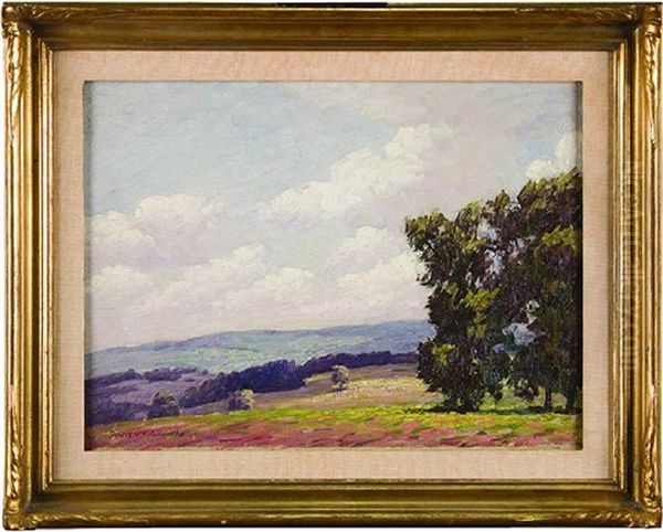 Sunny Landscape Oil Painting by Andrew T. Shwartz