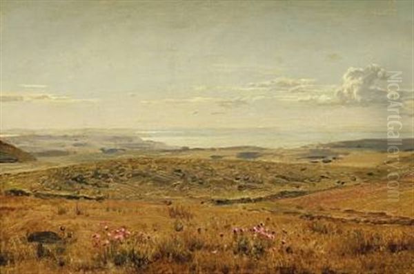 Landskab. Motiv Fra Masnedsund Oil Painting by Hermann Carl Siegumfeldt