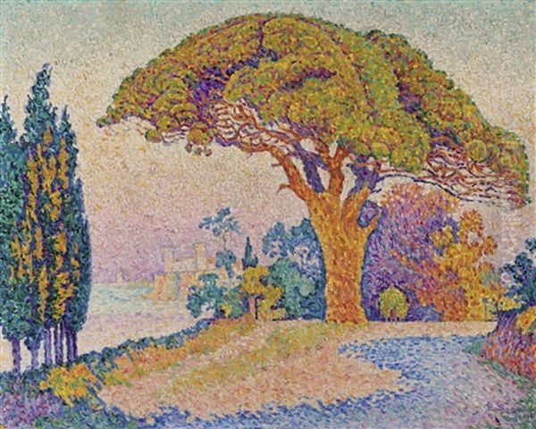 Le Pin De Bertaud Oil Painting by Paul Signac