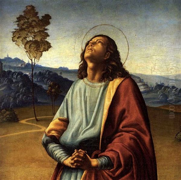 Johannes Evangelista Unter Freiem Himmel Oil Painting by Luca Signorelli