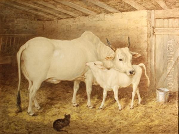 A Brahman Cow With Her Calf In A Barn Oil Painting by Basil Bradley