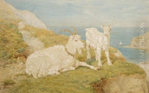 On The Cliffs Oil Painting by Basil Bradley