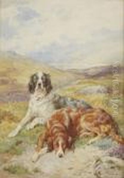 Gun-dogs At Rest Oil Painting by Basil Bradley