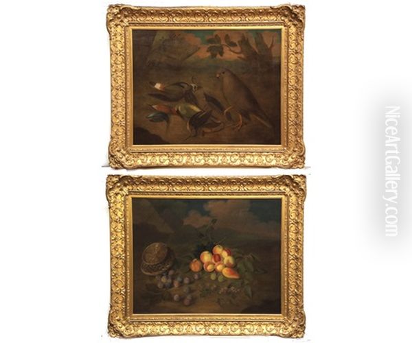 Still Life Studies Of Birds; And Mixed Fruit With Butterfly And Basket (a Pair) Oil Painting by James (Sillet) Sillett