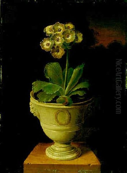 Study Of An Auricula Oil Painting by James (Sillet) Sillett