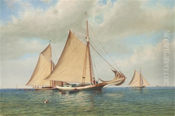 Three Gaff Rigged Sloops In A Bay Oil Painting by Francis Augustus Silva