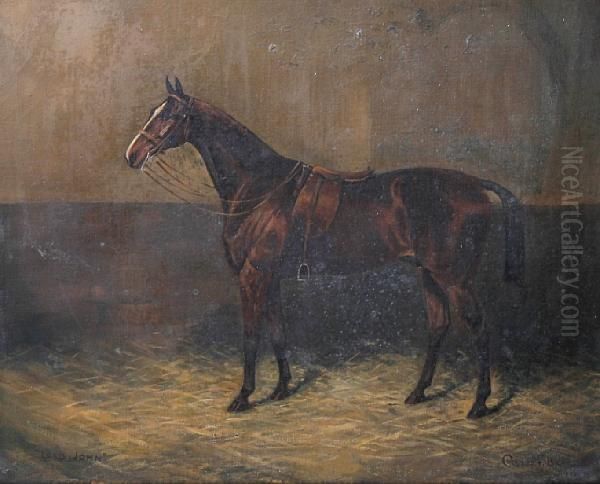 'lord John' - Horse In A Loose Box Oil Painting by Cuthbert Bradley