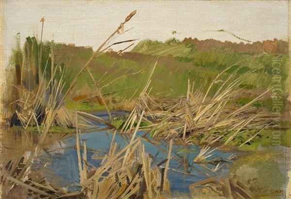 Wasser, Schilf Und Wiese (study) Oil Painting by Franz Xavier Simm