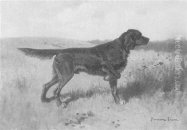 Irish Setter On Point Oil Painting by Hermann Gustave Simon