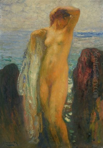 Desnudo En Las Rocas Oil Painting by Michel Simonidy