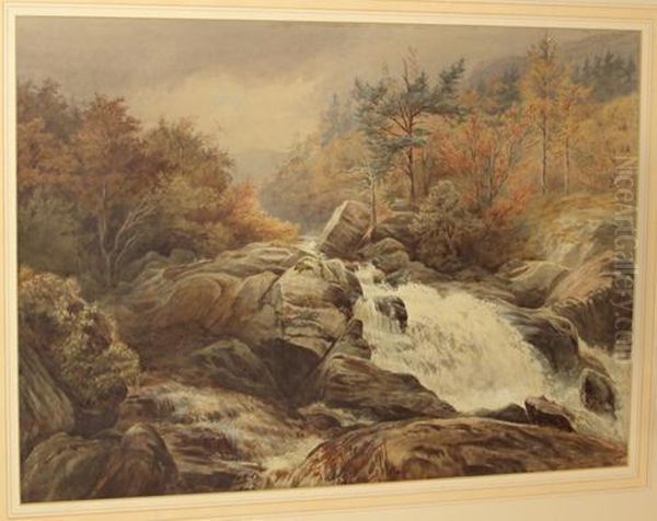 Dolgarrog Falls, North Wales Oil Painting by William Bradley