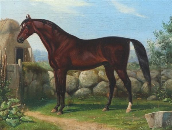 En Hingst Fra Stutteriet Ved Frederiksborg Oil Painting by Simon Simonsen