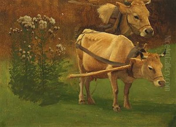 A Study Of Cows In A Field by Simon Simonsen