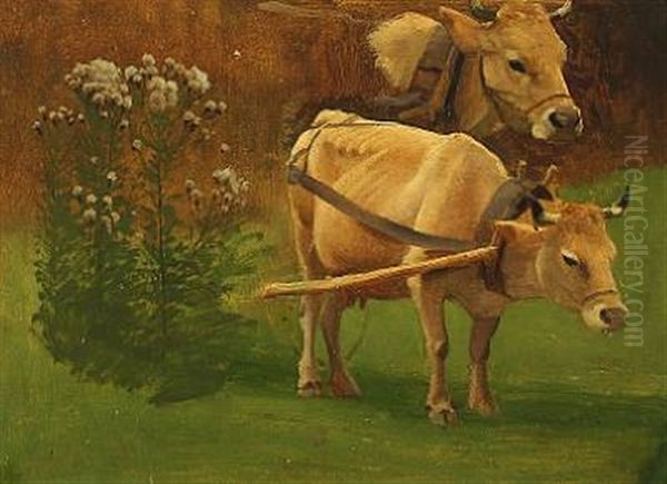 A Study Of Cows In A Field Oil Painting by Simon Simonsen