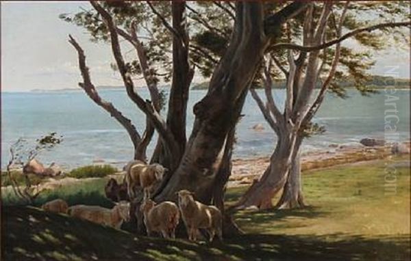 Coastal Scene From Bramsnaes With Sheep Seeking Shade Under Old Trees Oil Painting by Simon Simonsen