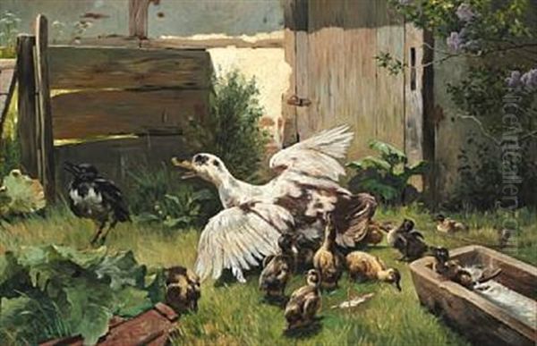 In The Duck Pen. Mother Duck Shields Her Ducklings Against Invading Crow Oil Painting by Simon Simonsen