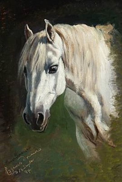 A White Arabian Horse In Dyregaard's Garden Oil Painting by Simon Simonsen