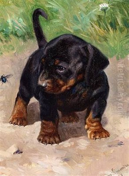 A Curious Dachshund Puppy Oil Painting by Simon Simonsen