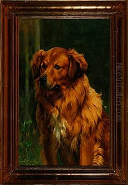 A Dog (study) Oil Painting by Simon Simonsen