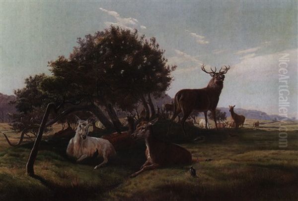 Stag And Does In A Landscape Oil Painting by Simon Simonsen