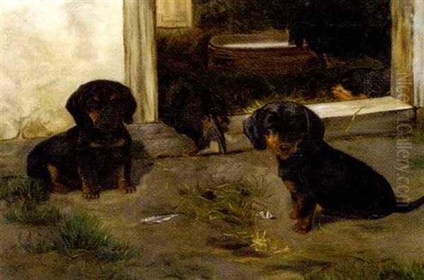 Short-haired Dachshund Puppies Oil Painting by Simon Simonsen