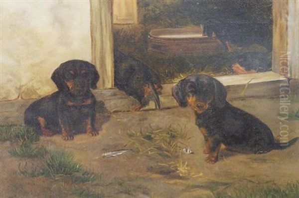 Short-haired Dachshund Puppies Oil Painting by Simon Simonsen