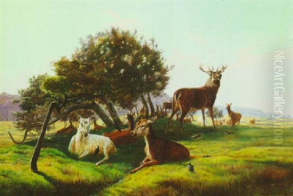 Deer Herd In The Fields Oil Painting by Simon Simonsen