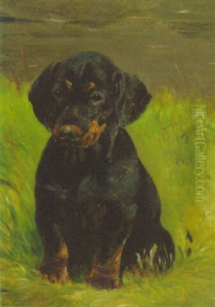 A Dachshund Puppy Oil Painting by Simon Simonsen