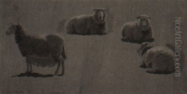 Study Of Sheep Oil Painting by Simon Simonsen