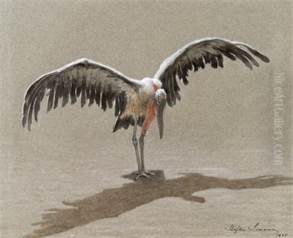 Marabu Oil Painting by Stefan Simony