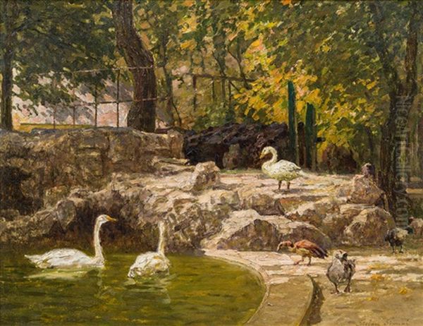 Enten Und Schwane Im Kleinen Teich, Schonbrunn Oil Painting by Stefan Simony