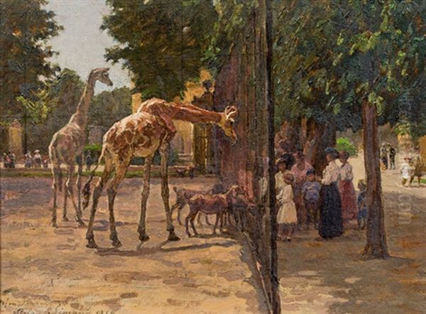 Giraffengehege In Schonbrunn Oil Painting by Stefan Simony