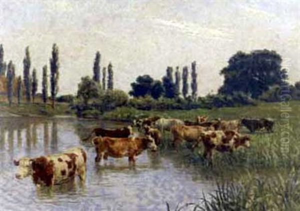 Cows Watering In A Marshland Oil Painting by Stefan Simony