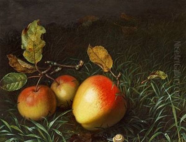 A Forest Floor With Apples And A Snail Oil Painting by Adamine Marie Elisabeth Sindberg