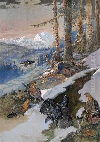 Auerhahnbalz Oil Painting by Albert Singer