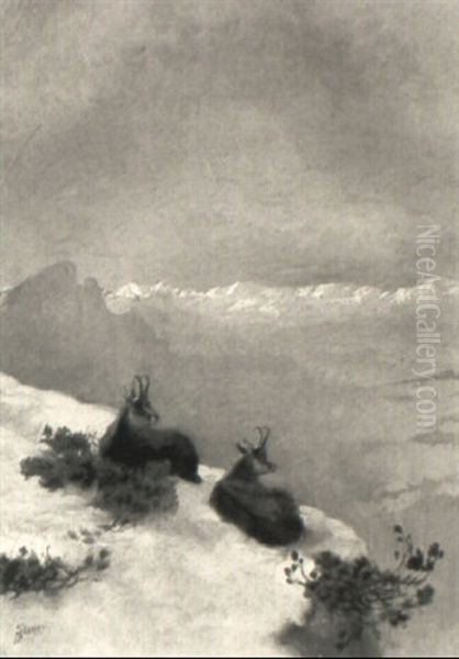 Schneebedeckte Bergspitze Mit 2 Gemsen Oil Painting by Albert Singer