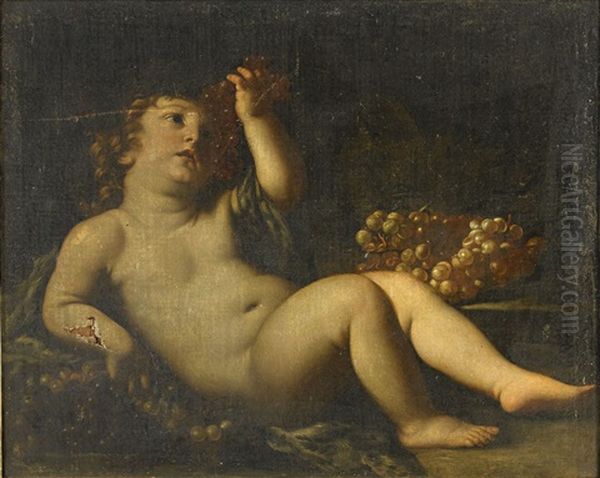 Den Unge Bacchus Oil Painting by Giovanni Andrea Sirani