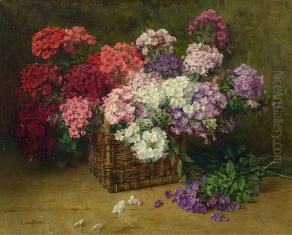 Still Life Of Flowers by Clara Von Sivers