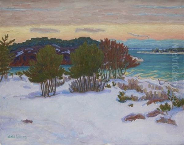 Vinter I Skargarden - Langviksskar I Vinterskrud Oil Painting by Axel Sjoeberg