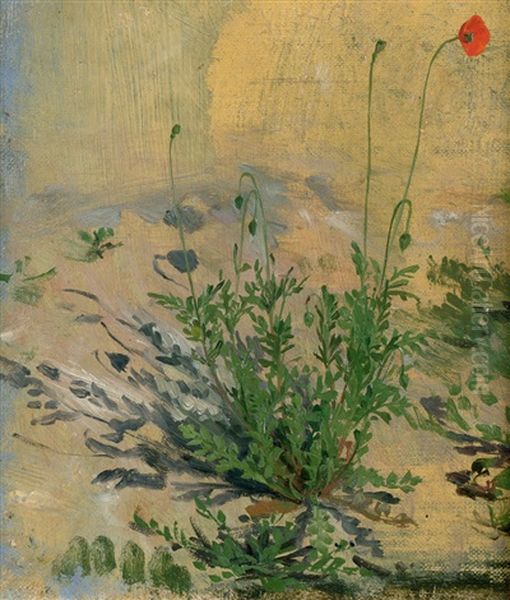 Studie Von Rotem Mohn Oil Painting by Joakim Frederik Skovgaard