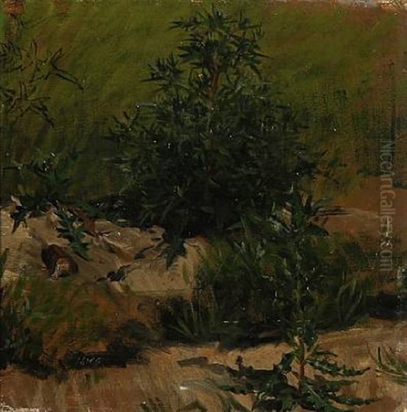 Two Sketches Of Weeds (2 Works) Oil Painting by Joakim Frederik Skovgaard