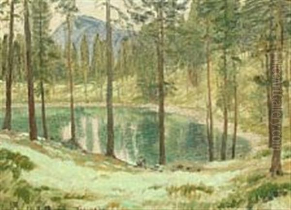 Landscape At Grimsoll Oil Painting by Niels Kristian Skovgaard