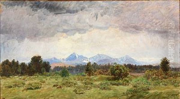 Landscape From Foldalen In Norway Oil Painting by Niels Kristian Skovgaard