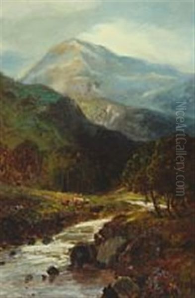 Highland Cattle Crossing A River, Presumably In Scotland Oil Painting by John Falconar Slater