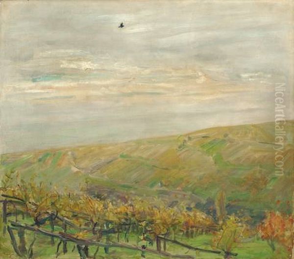 Landschaft Mit Fliegendem Vogel (blick Ins Leinsweiler Tal Im Herbst) Oil Painting by Max Slevogt