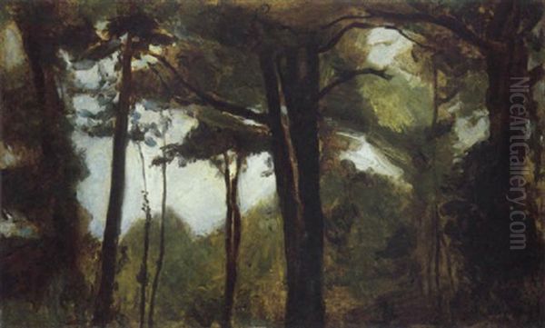 Waldlandschaft Oil Painting by Max Slevogt