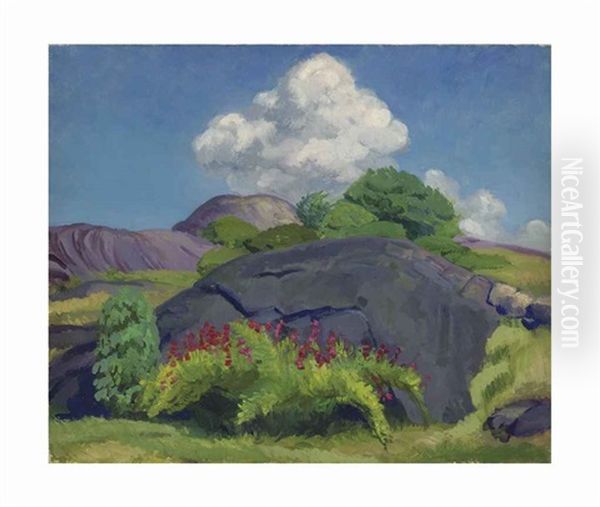 White Cloud And Rock Oil Painting by John French Sloan