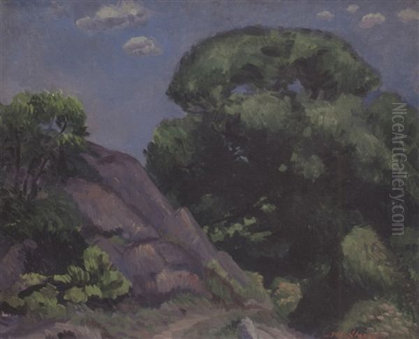 Willows And Rocks Oil Painting by John French Sloan