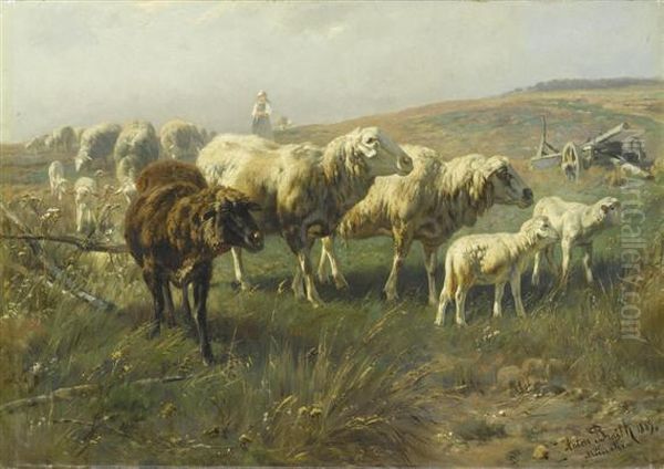 Sheep In A Meadow. Oil Painting by Anton Braith