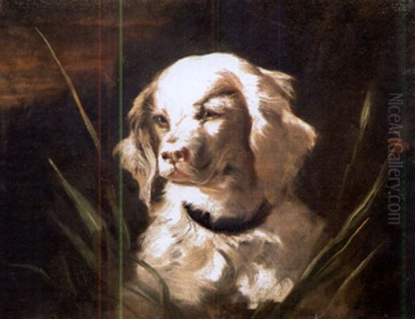 Portrait Of A Spaniel by James Fullarton Sloane